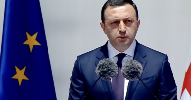 Журналист задал Гарибашвили критический вопрос и получил приглашение в Грузию