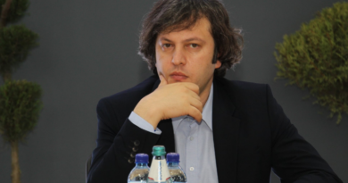 Кобахидзе заявил, что президент Грузии затесалась «в ряды Павликов Морозовых»