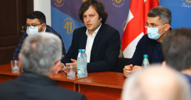 Кобахидзе отказался комментировать нецензурную брань в адрес митингующих