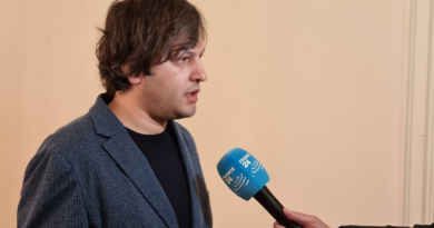 Кобахидзе подверг критике бывшего посла ЕС в Грузии