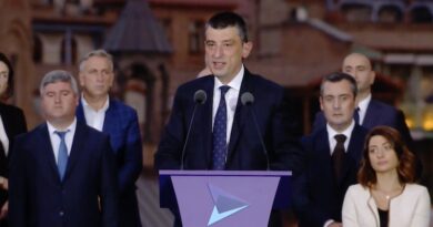 Партия Гахария присоединится к процессу, инициированному «Грузинской мечтой»