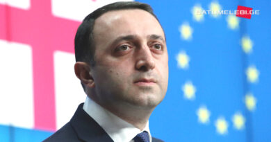 Премьер Грузии: «Недавно моя супруга получила совет от супруги Бидзины Иванишвили»
