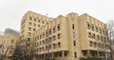 Прокуратура Грузии начала следствие по делу об инциденте в посольстве США
