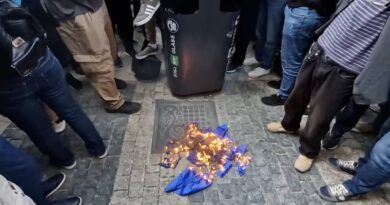 Сторонники «Alt-Info» демонстративно сожгли флаги НАТО и ЕС