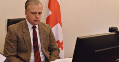 В «Мечте» заявили, что Запад должен отмежеваться от грузинской оппозиции и НПО