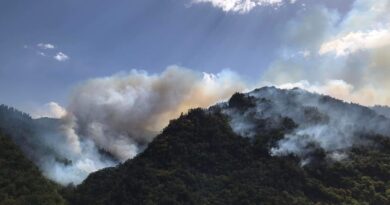 Вертолет из Турции помогает тушить пожар в Боржоми