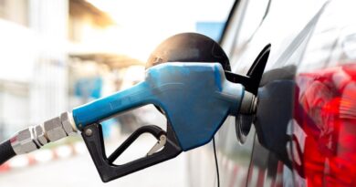 Власти Грузии ожидают снижения цен на бензин в конце августа