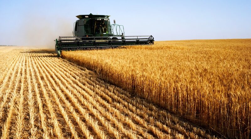 Всемирный банк: Темпы роста сельскохозяйственного сектора Грузии намного ниже потенциала