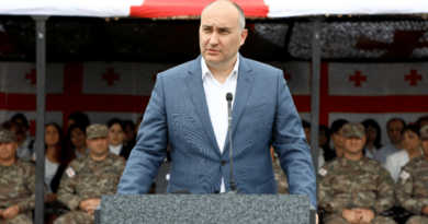 Глава МО Грузии заявил о попытках смягчить отношения с украинскими властями