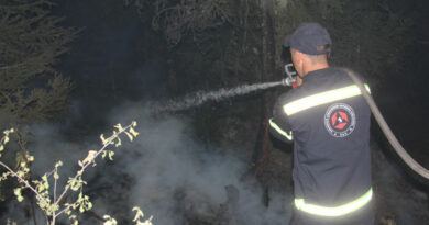 Лесной пожар в Боржоми: Угрозы распространения огня на населенные пункты нет