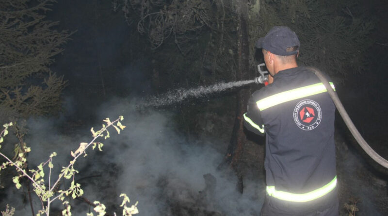 Лесной пожар в Боржоми: Угрозы распространения огня на населенные пункты нет