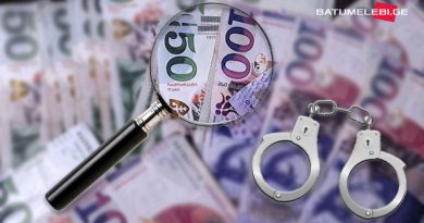 В Грузии задержан экс-чиновник обвиняемый в присвоении бюджетных средств