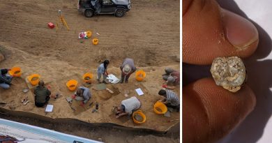 Генинспекция Минкультуры Грузии изъяла древний зуб из квартиры участника экспедиции