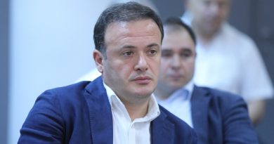 Грузинский депутат объяснил кого на границе «развернут назад, как и раньше»