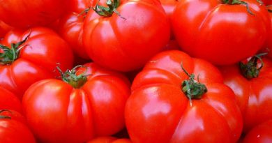Посмотрите на срез: как определить опасные для здоровья помидоры