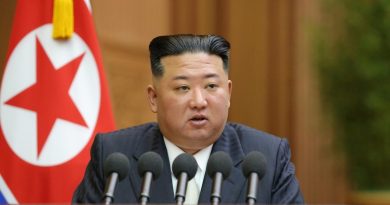 Северная Корея заявила, что не намерена поставлять оружие России