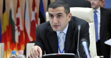 Экс-глава Минобороны Грузии ответил на обвинение председателя «Нацдвижения»