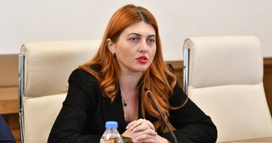 Аревадзе желает, что бы Народный защитник Грузии был более аполитичным