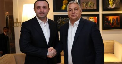 Гарибашвили встретился с премьер-министром Венгрии
