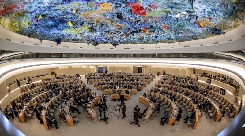 Грузия избрана членом Совета ООН по правам человека