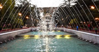 Детей достававших мяч из фонтана в одном из парков Тбилиси ударило током
