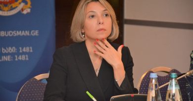 Народный защитник Грузии ответила на обвинения депутата
