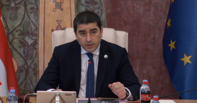Папуашвили: «Фемицид заслуживает внимания парламента»