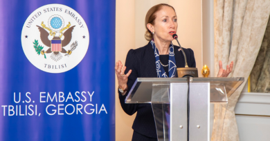 Посол США в Грузии: Распространен ряд дезинформационных теорий