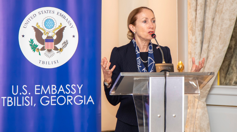 Посол США в Грузии: Распространен ряд дезинформационных теорий