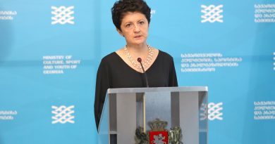 Цулукиани ответила на критику президента Федерации бокса Грузии