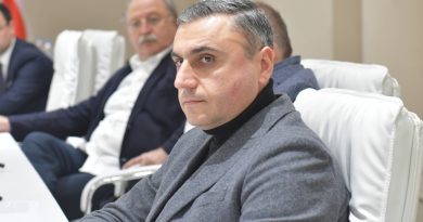 В «Грузинской мечте» не знали, что Украина отозвала закон «О деолигархизации» из Венецианской комиссии