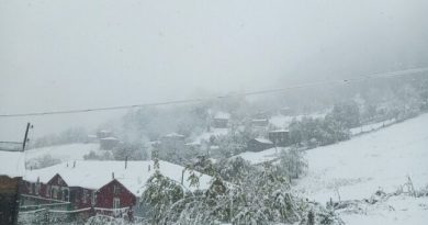 В нескольких селах Аджарии выпал первый снег