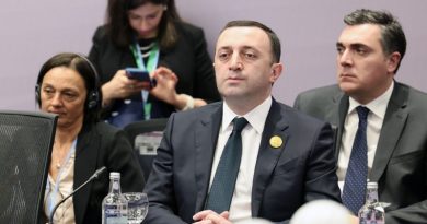 Гарибашвили: Грузия стремится к 2050 году достичь статуса страны с нулевым балансом выбросов углерода