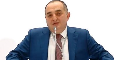 Глава политсовета «Нацдвижения»: Саакашвили не вмешивается в партийные процессы