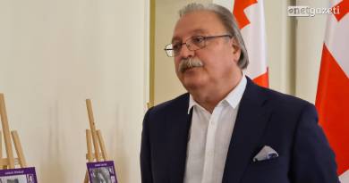 Григол Вашадзе поклялся, что не будет говорить о внутренней политике Грузии
