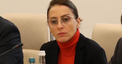 Деканоидзе не будет бороться за пост председателя «Национального движения»