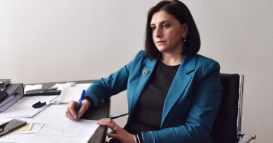 Депутат Тамар Кордзая представила альтернативный законопроект «О вещании»