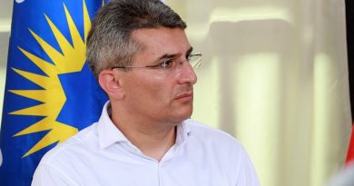 Мдинарадзе о Волкере: «Один из главных фигурантов, дававших задания против Грузии, уже выявлен»
