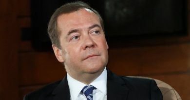 Медведев предложил расстреливать диверсантов без суда и следствия