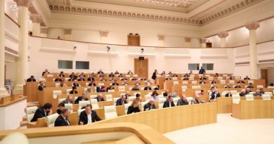 Парламент Грузии принял в первом чтении законопроект «О деолигархизации»