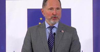 Посол ЕС: «Выполнение 12 рекомендаций зависит от всего грузинского общества»