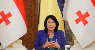 Президент не разделяет «осторожность правительства» Грузии в вопросе поддержки Украины