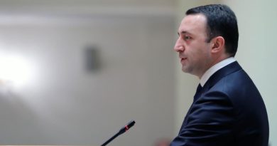 Премьер Грузии считает неприемлемыми заявления членов «Силы народа» о после США