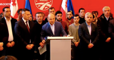 Хабеишвили примет участие в выборах председателя «Нацдвижения»