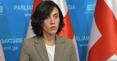 Цитлидзе призвала членов «Грузинской мечты» лично навестить Саакашвили