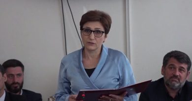 Абхазская омбудсмен обратилась к европейским структурам в связи с «непризнанием абхазских паспортов»