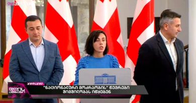 В Грузии часть депутатов от «Нацдвижения» объявили голодовку