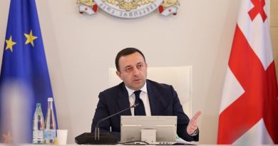 Гарибашвили назвал грузинских оппозиционных политиков находящихся в Украине «лицемерами»