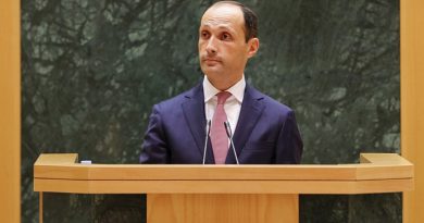 Глава Минэкономики о значимости проекта, который свяжет Грузию и ЕС линией электропередач