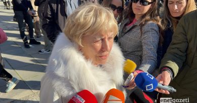 Задержан гражданин, оскорбивший мать Саакашвили